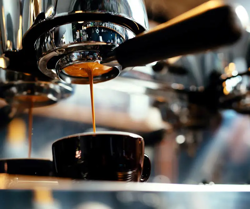 Aprenda qué es un café especial y cómo reconocerlo Aprenda qué es un café especial y cómo reconocerlo