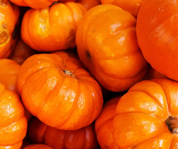calabazas_600x503