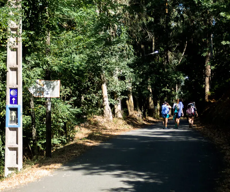 Buen camino en el Camino de Santiago