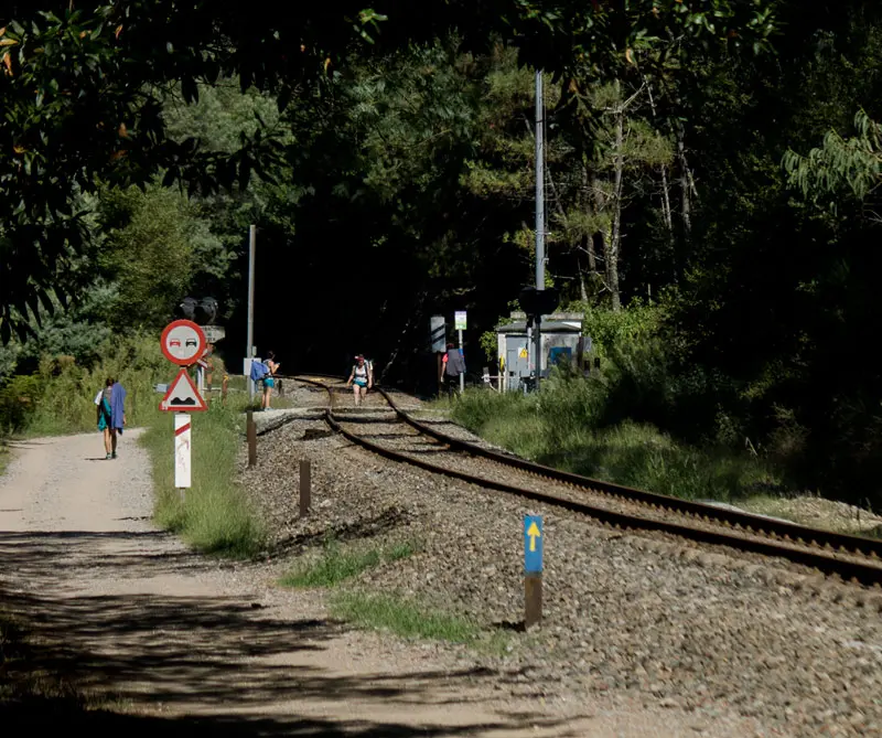 Buen camino en el Camino de Santiago