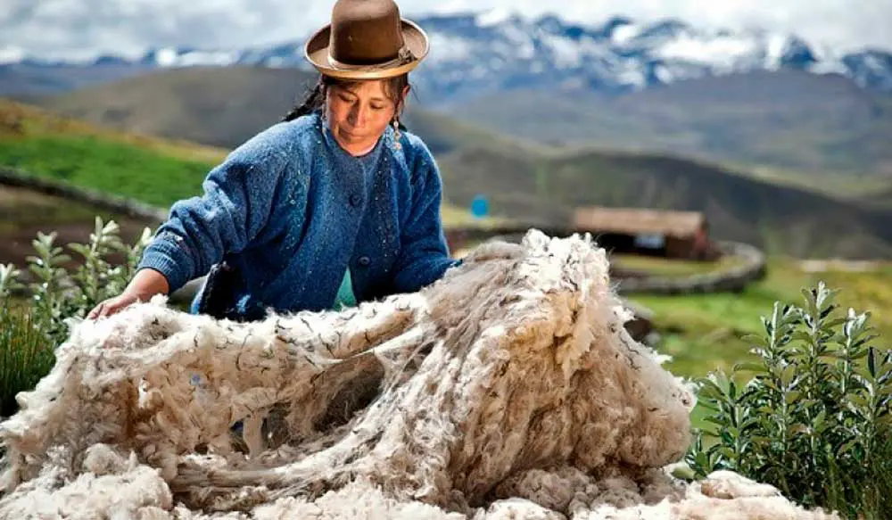 Una marca de moda peruana y dos colombianas le apuestan a la sostenibilidad