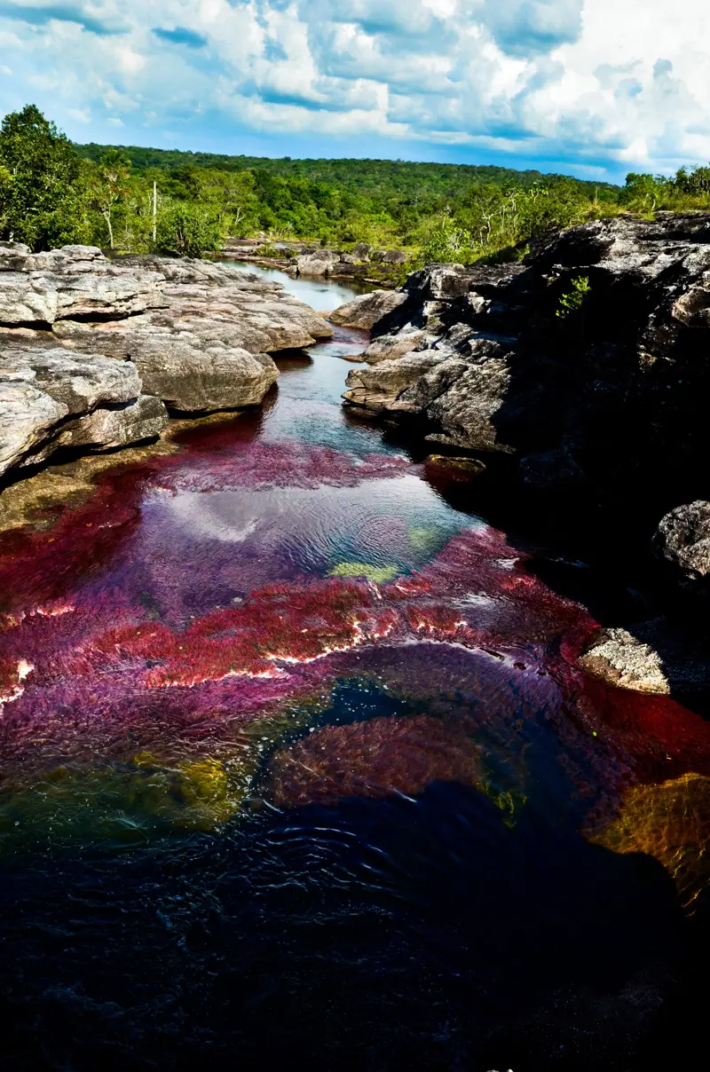 Caño cristales