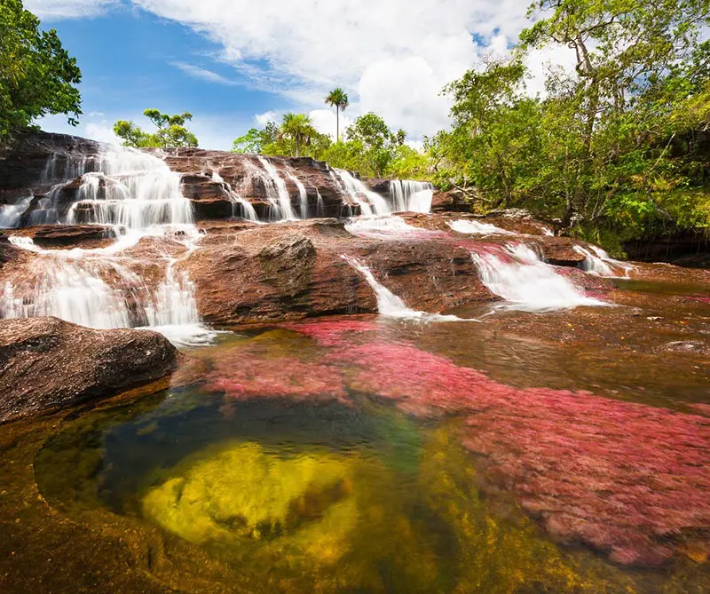 Cinco lugares en Colombia para lograr las mejores fotos con un celular Cinco lugares en Colombia para lograr las mejores fotos con un celular