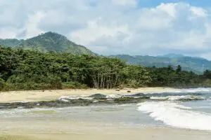 Playa caribe