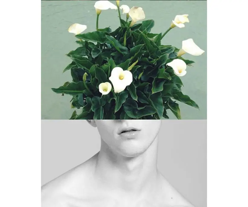 Galería: Arte para incomodar a su familiar conservador