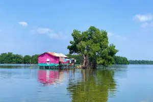 Así es viajar por la Ciénaga Grande de Santa Marta