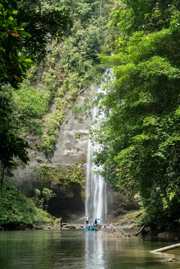 Descubra juanchaco: ballenas, manglares y la lluvia incesante del pacífico colombiano