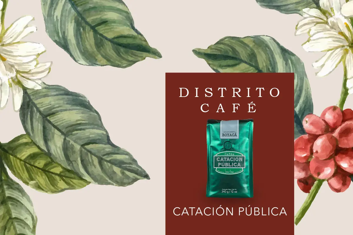 Distrito café, catación pública