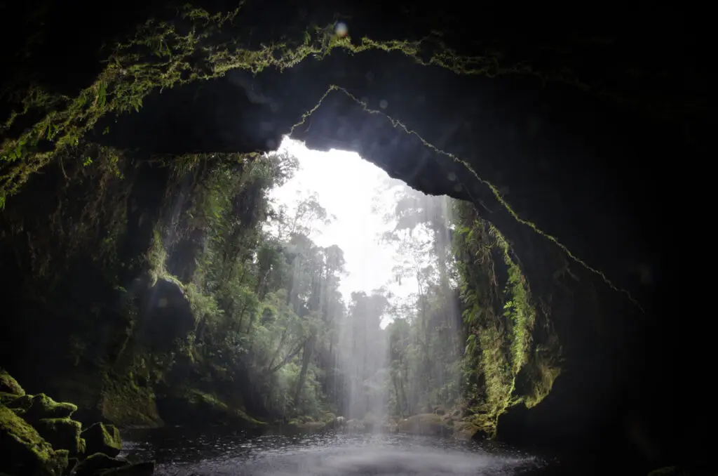 Caverna del águila colombia