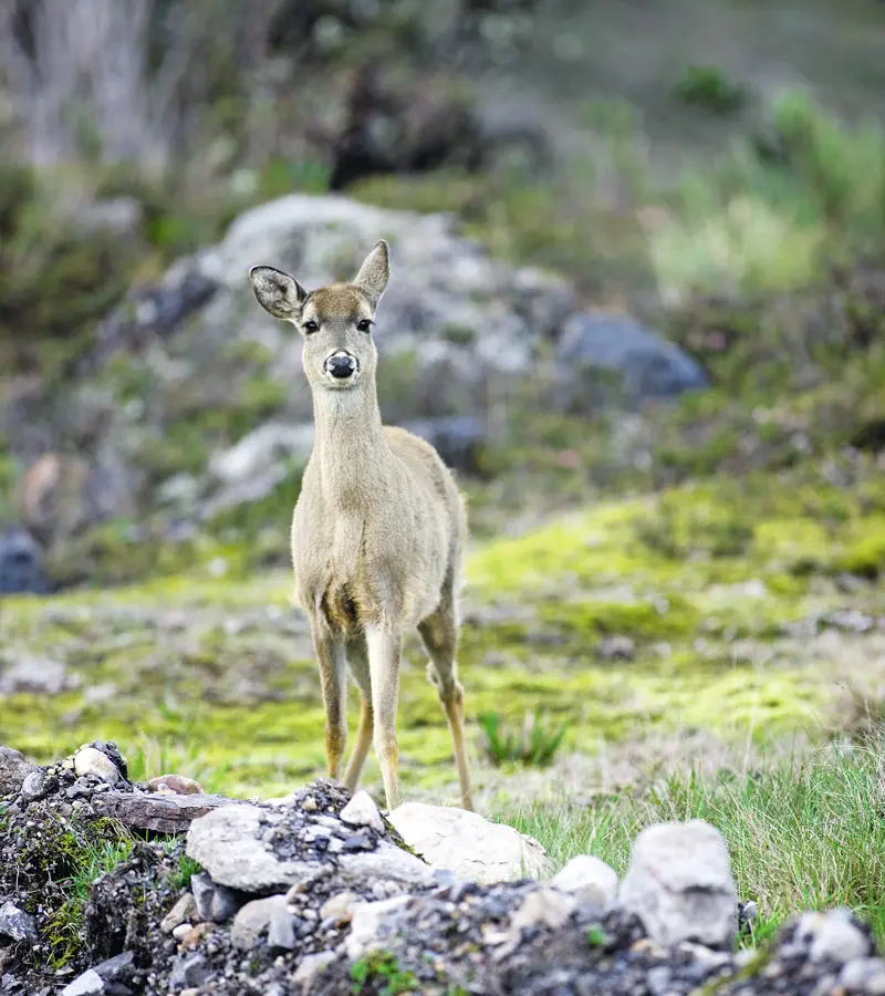 lugares más hermosos de Colombia
