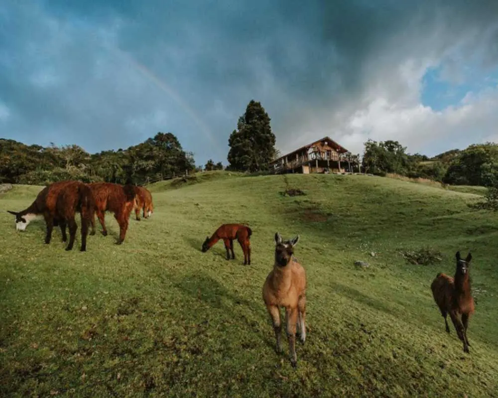 El Chocha de Siecha, Senderismo