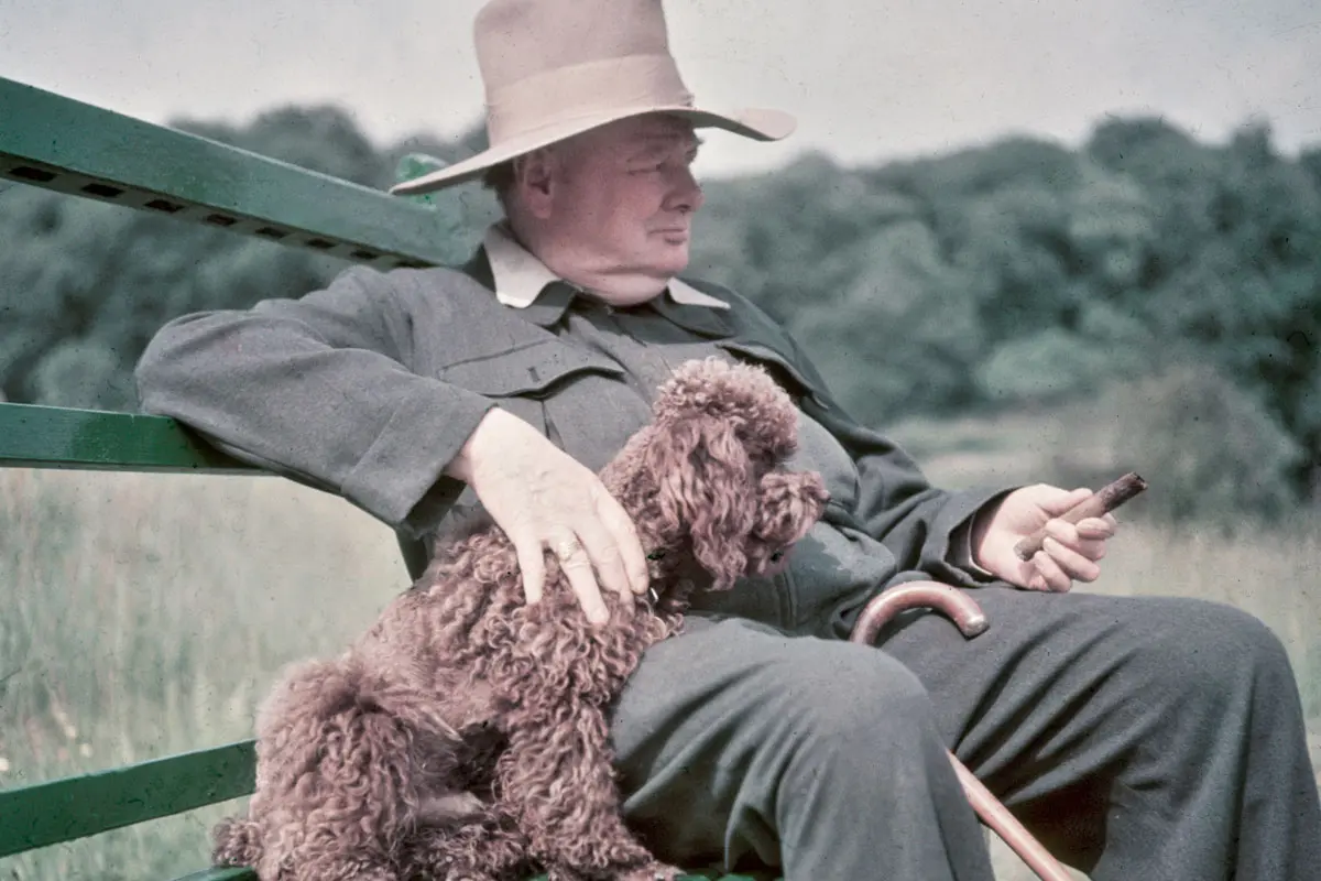 perro_churchill_winston