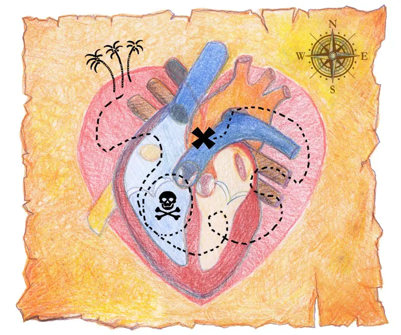 La neurociencia del amor La neurociencia del amor