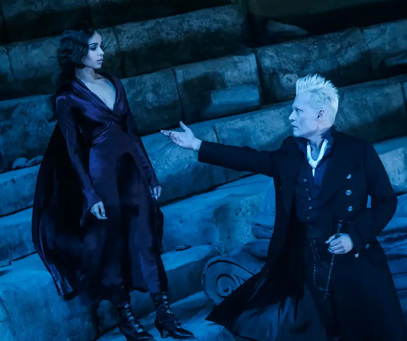 Animales Fantásticos y La Librería, estrenos de cine del fin de semana