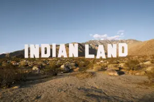 Óscar murillo, el colombiano que expone su arte en coachella