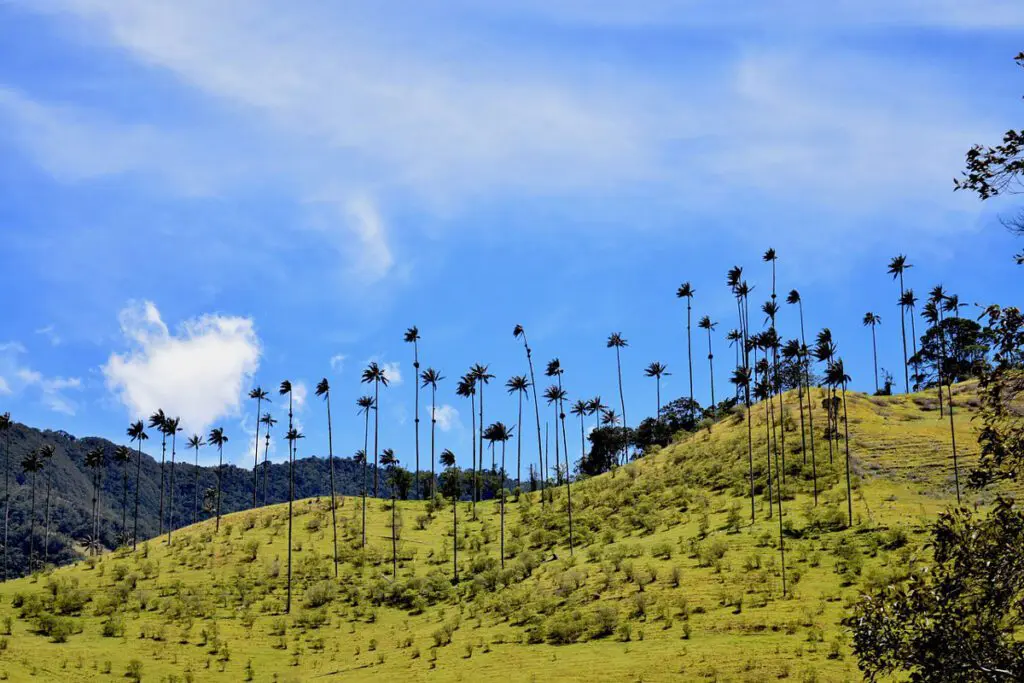 Vea los mejores 5 destinos para hacer ‘slow travel’ en colombia Colombia