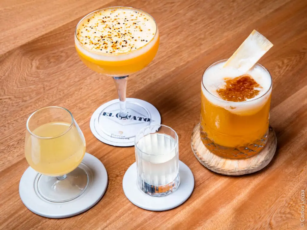 “Bogotá es tal vez el lugar con mayor frutas del mundo” “Bogotá es tal vez el lugar con mayor frutas del mundo”