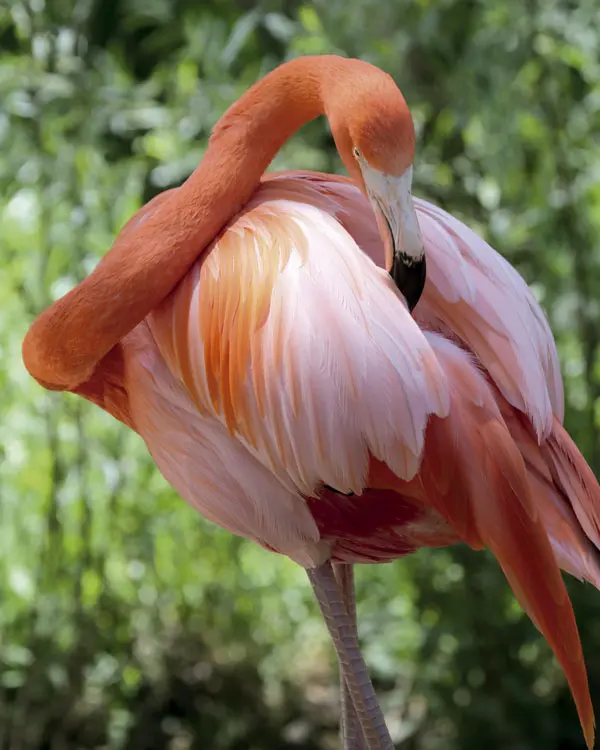 Cali y Riohacha, dos destinos para redescubrir Colombia