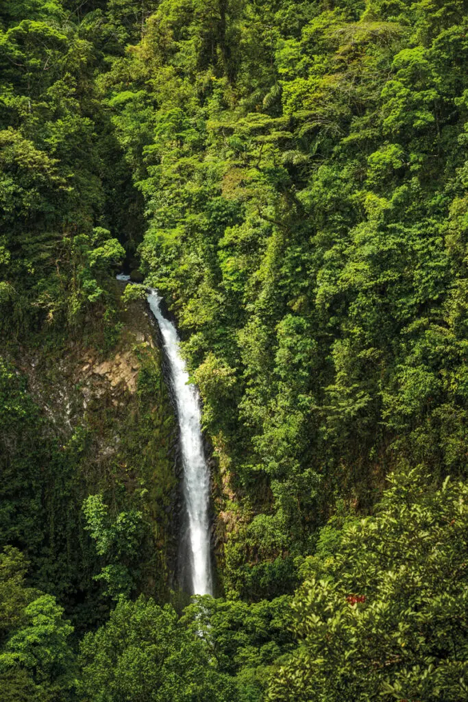 Costa rica: crónica de un ataque de hormigas y un viaje alrededor de los volcanes Costa rica: crónica de un ataque de hormigas y un viaje alrededor de los volcanes