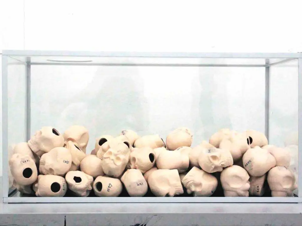 El día de su suerte, cráneos, artistas colombianos