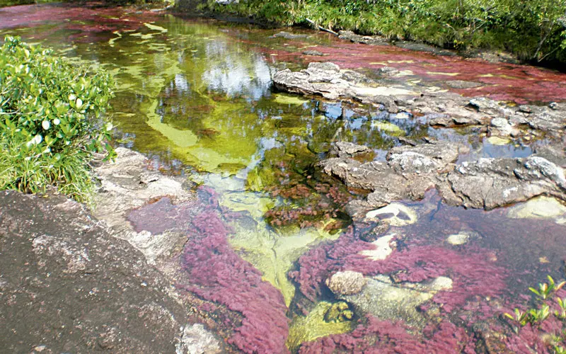Los lugares más hermosos de Colombia