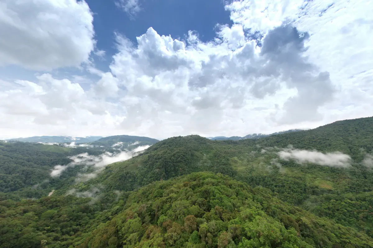 Un recorrido virtual por 5 increíbles parques naturales de Colombia