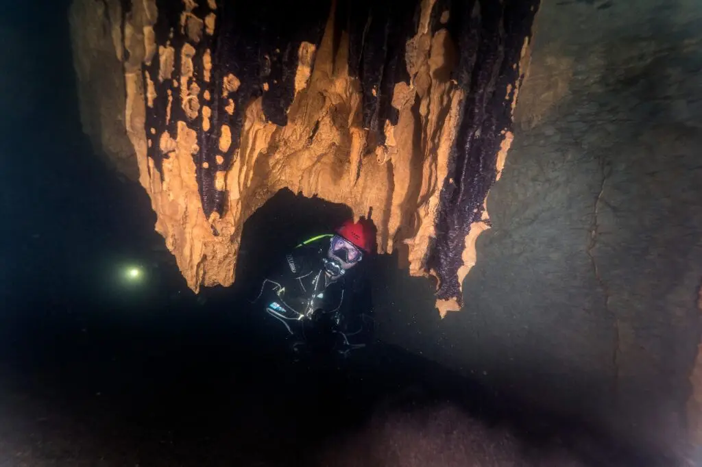 Cueva las cacas