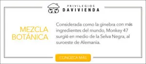 Cata de contrastes: whisky con chocolate o ginger ale y gin tonic