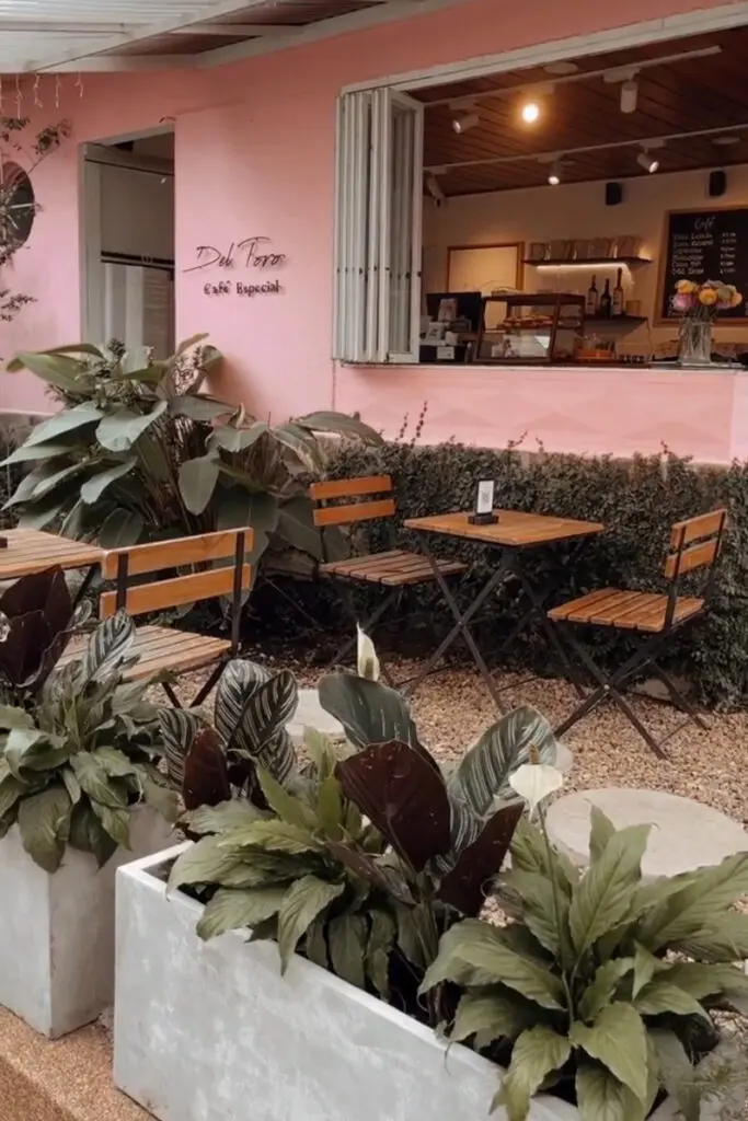 De montañas, aves y café: razones para enamorarse del quindío