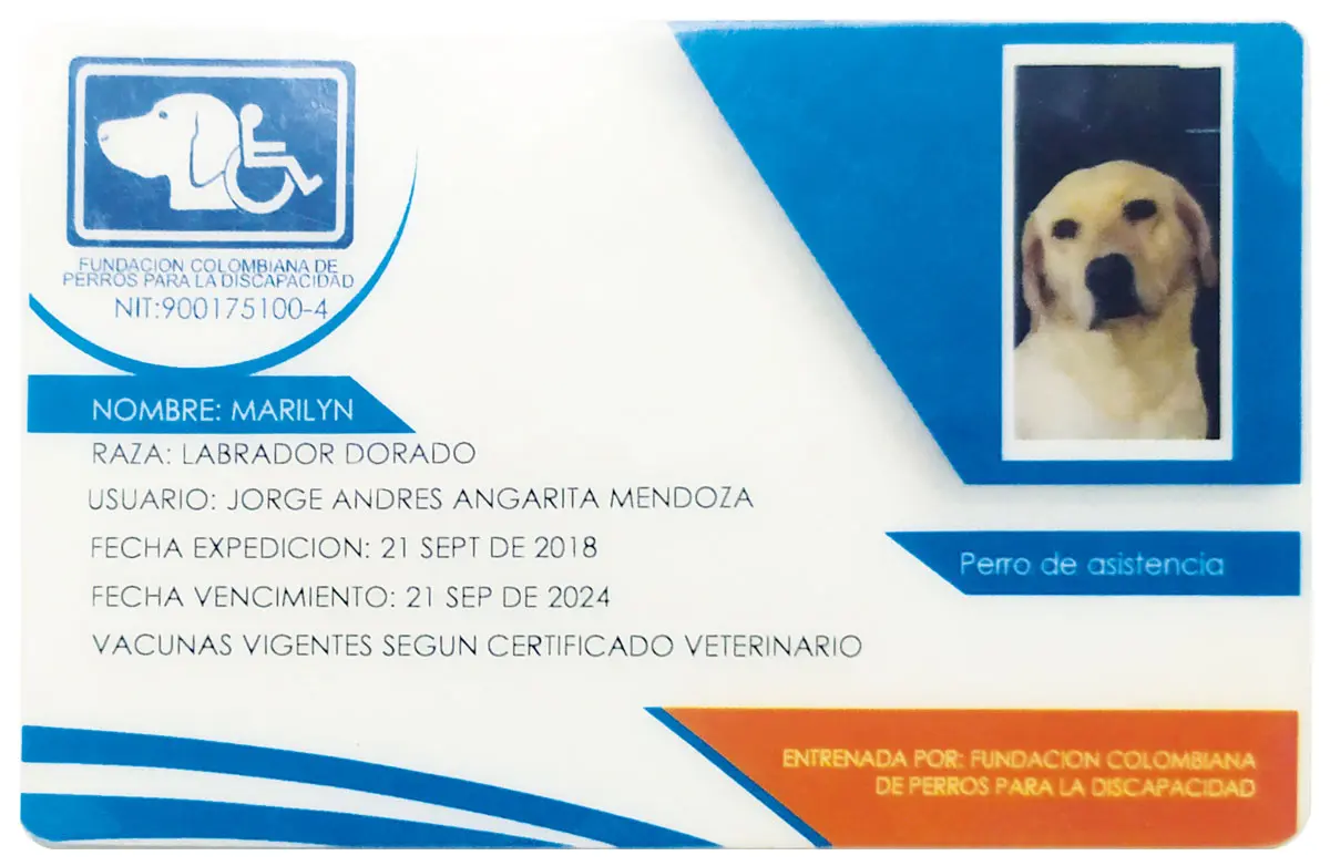 Perros de asistencia: cuando una mascota le puede salvar la vida