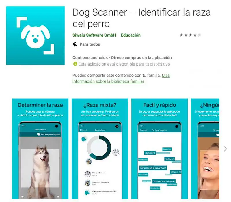 aplicaciones para perros