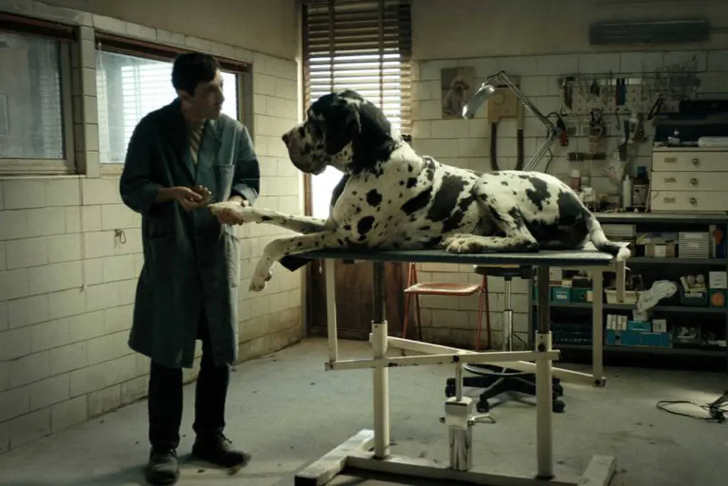 Dogman, una película italiana que no se puede perder Dogman película italiana