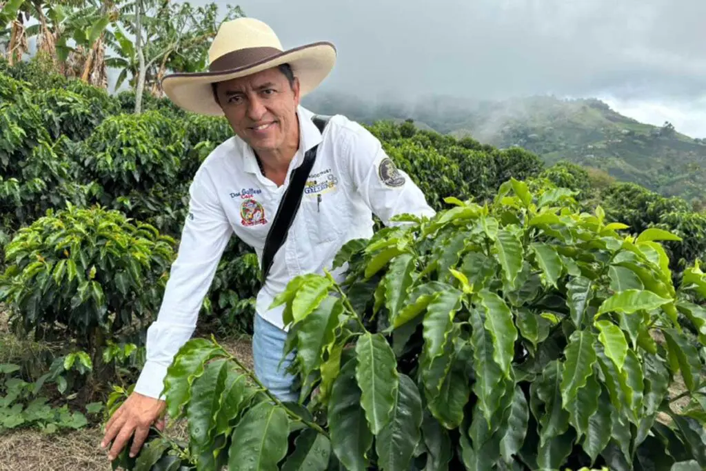 50 marcas de café colombiano para disfrutar en 2024 Café colombiano