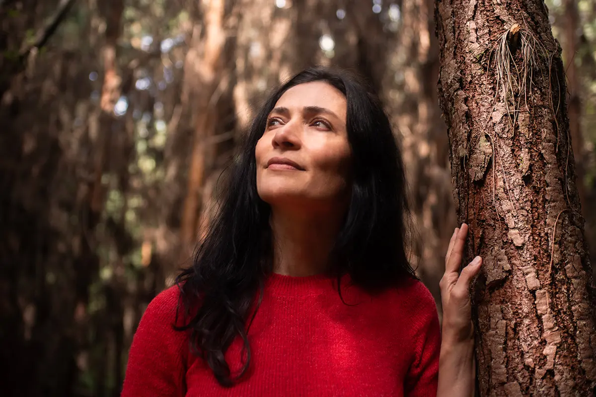 El árbol más hermoso del mundo