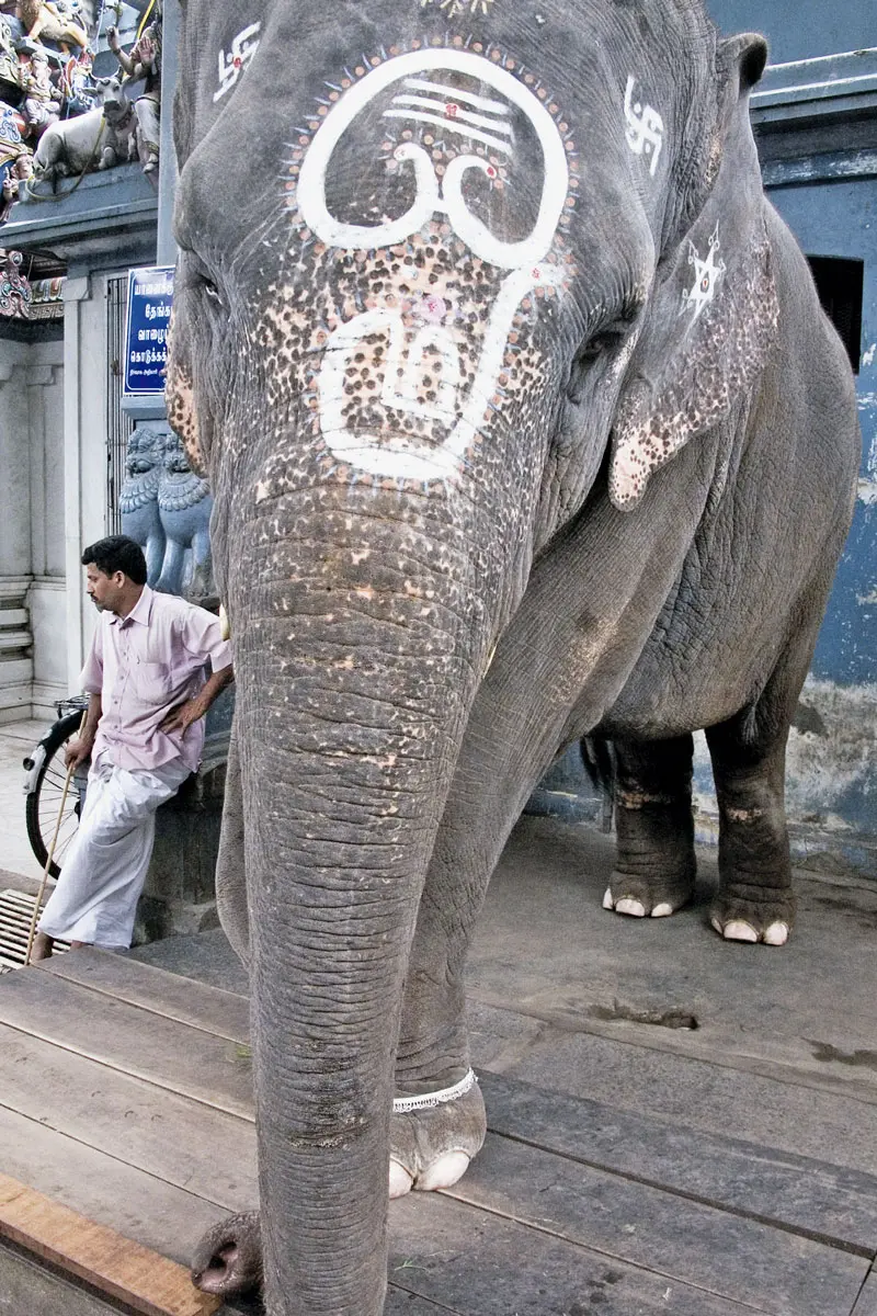 Un viaje espiritual por la india