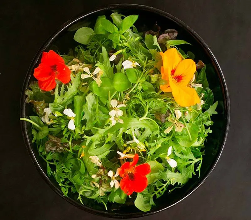 Los vegetales reinan en la alta cocina del mundo