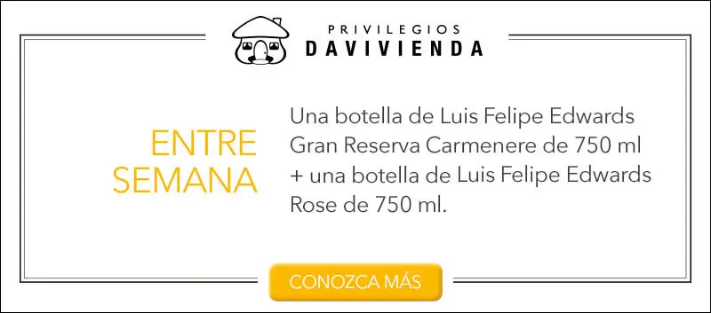 6 vinos chilenos y argentinos para cada ocasión