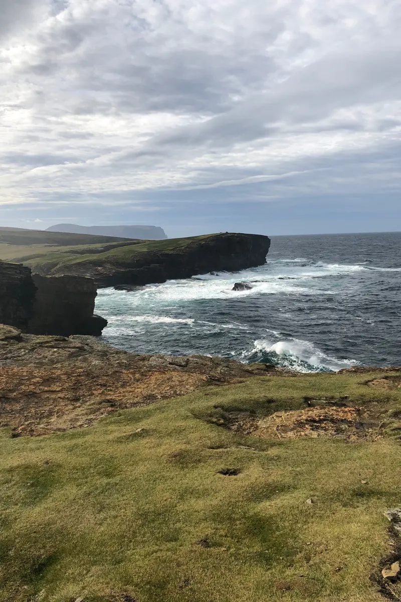 Recorrido por el fascinante mundo del whisky escocés de malta