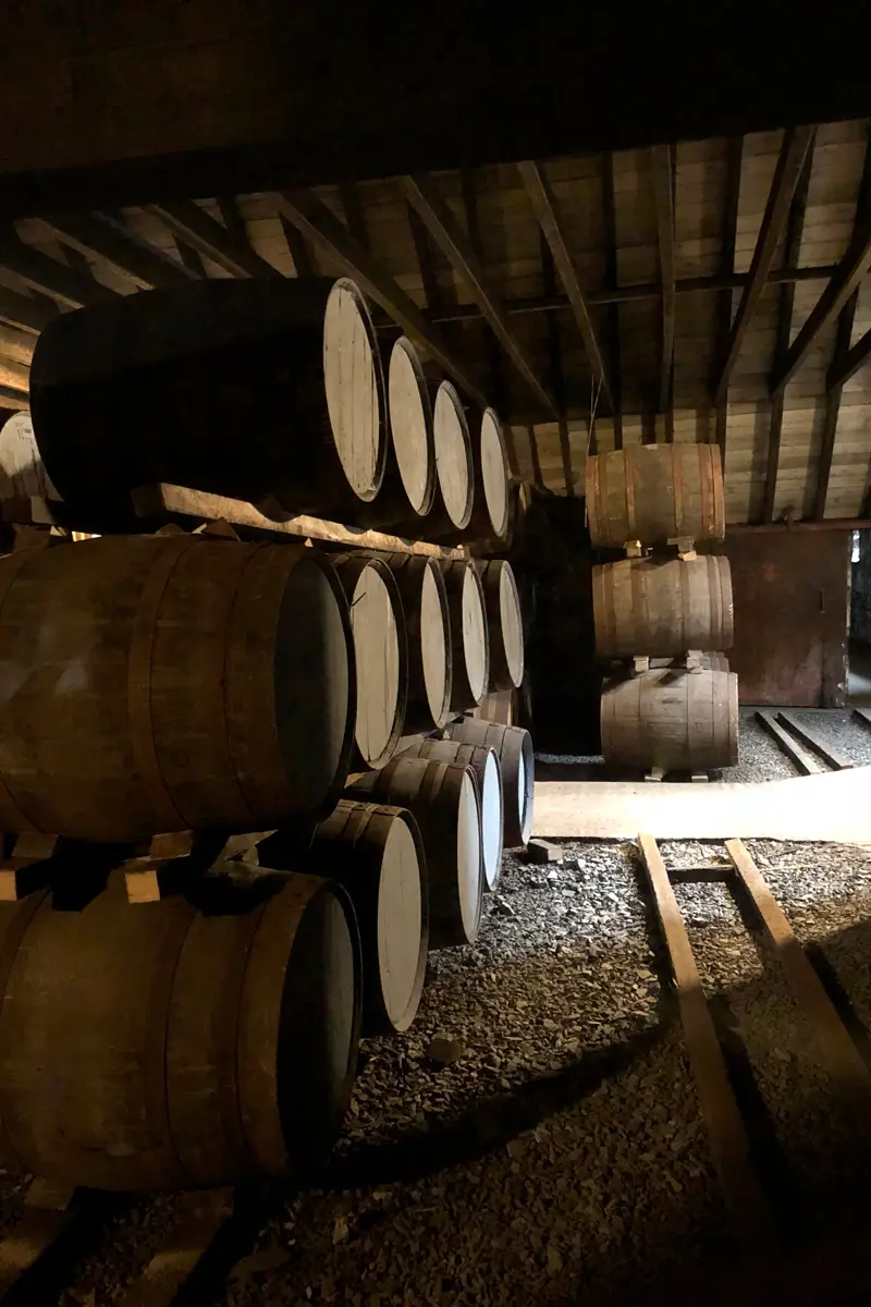 Recorrido por el fascinante mundo del whisky escocés de malta