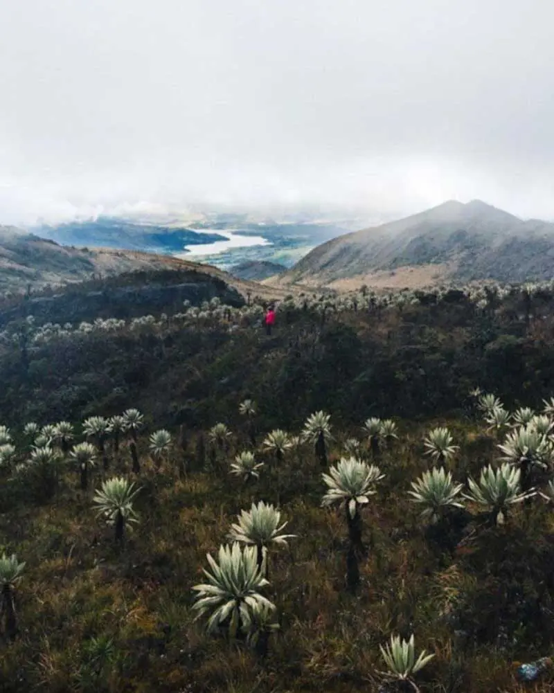 Naturaleza, Senderismo