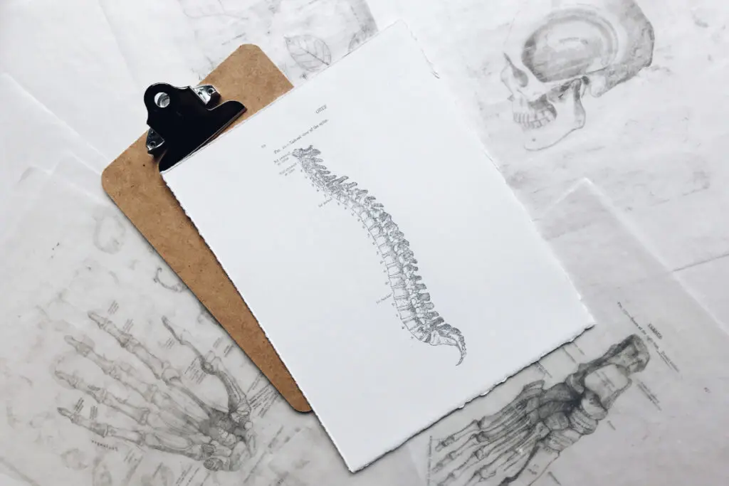 Recomendaciones y ejercicios sencillos para aliviar el dolor de espalda