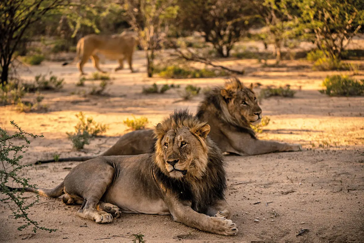 Esteban toro, fotógrafo colombiano