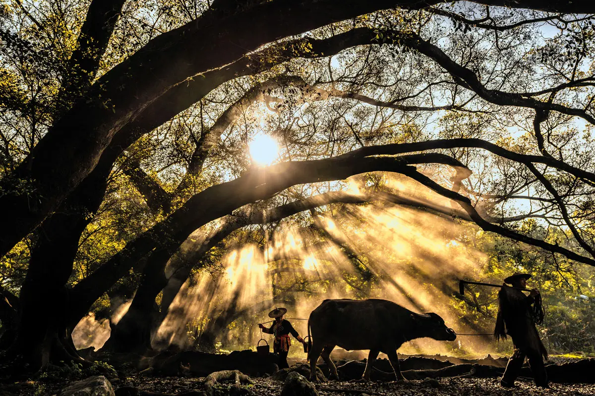 fotógrafo colombiano
