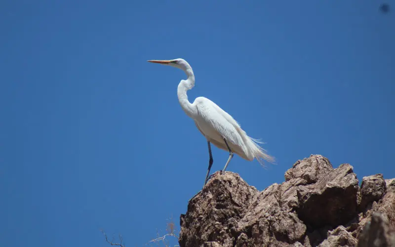 Guía para redescubrir Las Vegas