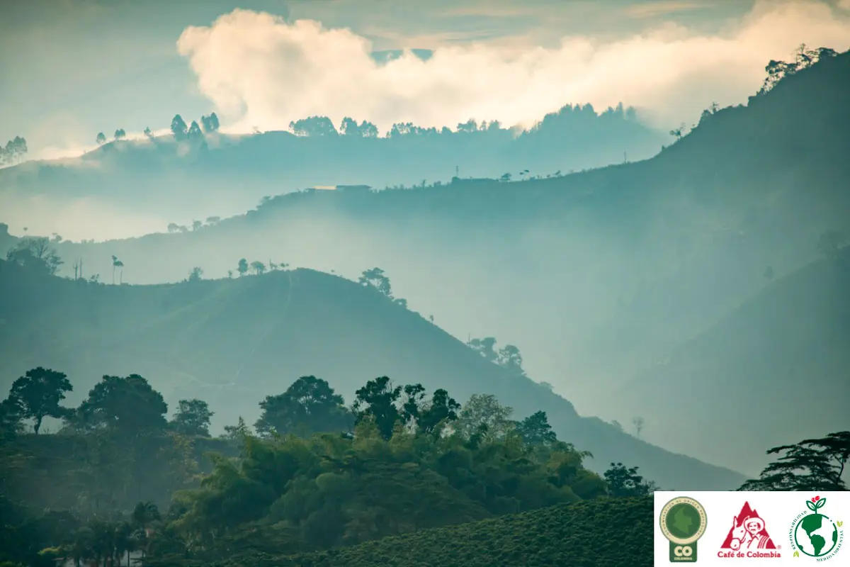 El Prístino: un café colombiano con notas de chocolatina y naranja Tierra Grata
