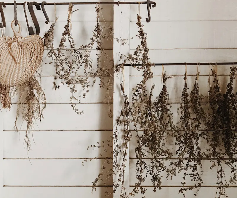 Hágalo usted mismo: tres formas de reutilizar flores secas