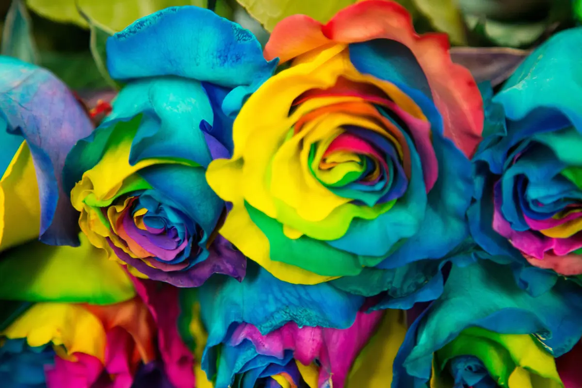 flores y plantas colombianas