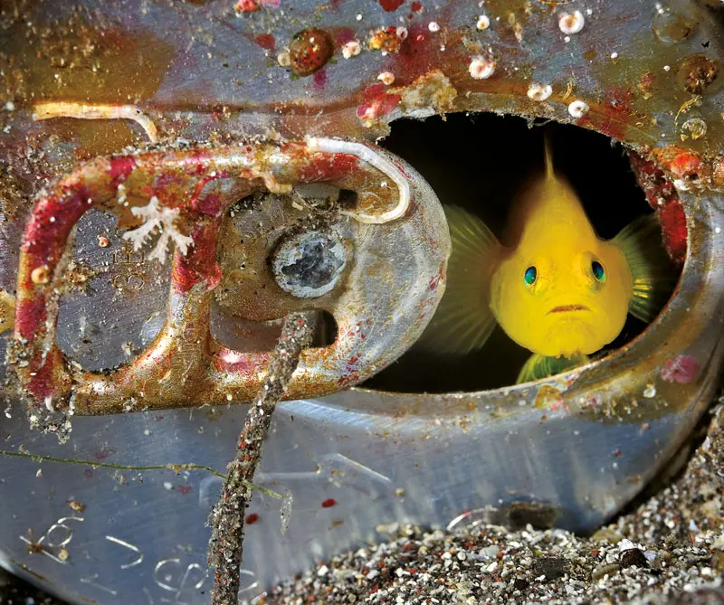 La exposición de la national geographic que llega por primera vez a colombia La exposición de la national geographic que llega por primera vez a colombia