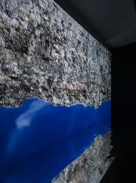 Leyla cárdenas y la geología de bogotá