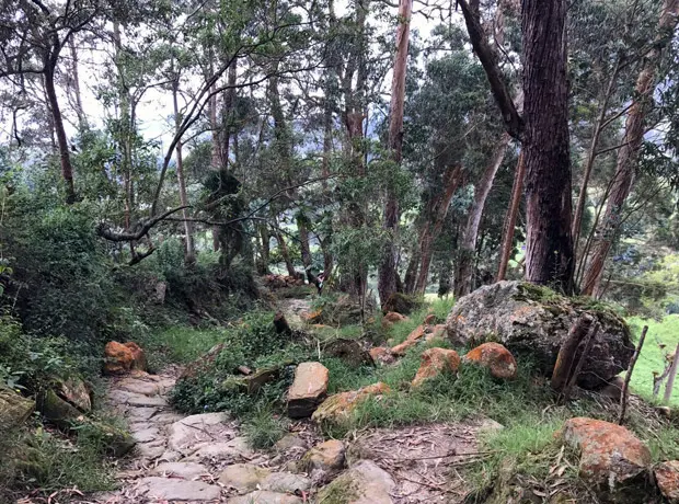 Un lugar para conocer de naturaleza e historia